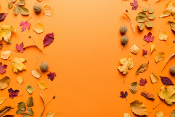 Wall Mural - autumn composition. pattern made of dried leaves and other design accessories on table. flat lay, to