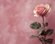 © dip - pink old rose background