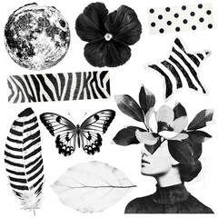 Poster - PNG Aesthetic black collage element set, transparent background