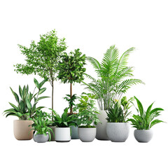 Wall Mural - Houseplants on transparent background