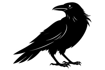 Wall Mural - Raven silhouette vector art. Crow bird icon illustration