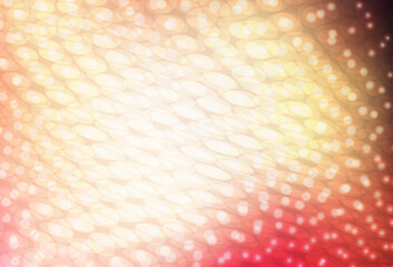 Wall Mural - light pink, yellow vector background with spots.