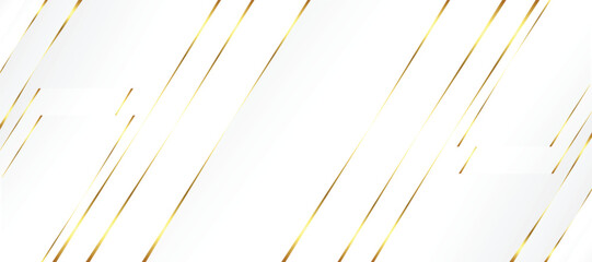 Modern white banner with golden lines effect