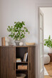 © FollowTheFlow - Sophisticated interior with wooden cabinet, fresh green foliage, and a serene atmosphere, perfect for a modern home. Stylish home decor.