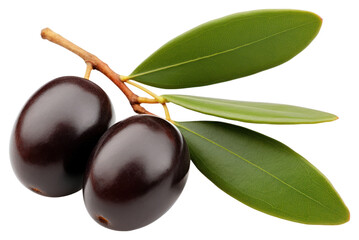 Sticker - PNG Olives fruit branch plant.