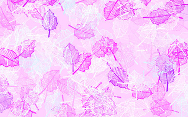 Wall Mural - light pink, blue vector natural pattern with leaves.