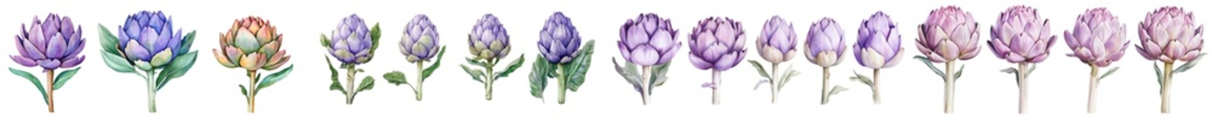 Canvas Print - Isolated watercolor clipart illustration of an artichoke.