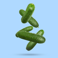 Wall Mural - Whole ripe cucumbers falling on light blue background