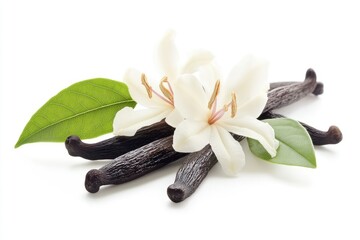 Vanilla flower and pods with leaves isolated on a white background . ai