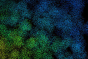 Wall Mural - dark blue, green vector background with stright stripes.