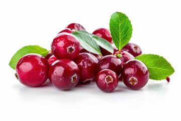 Poster - Cranberry Heap Closeup Macro on White Background - Healthy Red Food Isolated with Tree Branch and Leaf