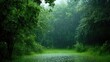 © Pannin - Gentle rain falling on a lush green forest, peaceful weather, nature's tranquility