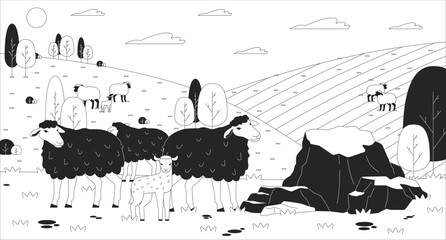 Sheep herd grazing on hilly pastureland black and white line illustration. Wool farm animals at summer countryside 2D landscape monochrome backdrop. Traditional agricultural husbandry outline vector