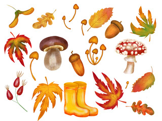 Autumn set of watercolor illustrations. Hand drawn autumn elements on isolated background. Yellow fallen leaves and acorns for design and clip art. Rubber boots and mushrooms for invitations