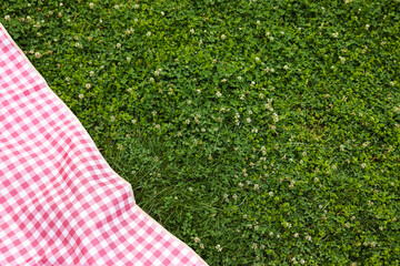 Wall Mural - Checkered picnic tablecloth on green grass. Space for text