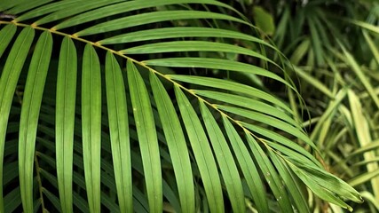 Sticker - green leaves