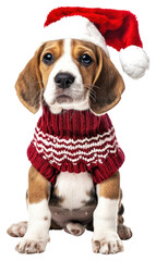 Canvas Print - PNG Adorable festive beagle puppy