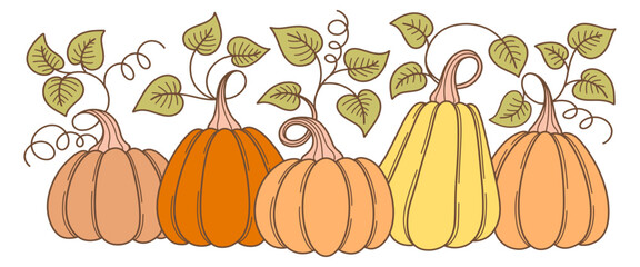 Wall Mural - pumpkin with leaves vector illustration