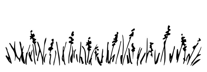 Wall Mural - Flower lawn, blades of grass and inflorescences, spikelets. Floral border. Hand drawn vector drawing with black outline, ink sketch. Nature and vegetation.