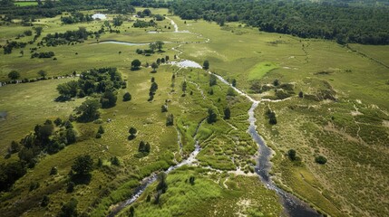 Canvas Print - Aerial View of a Winding River through Lush Green Meadows