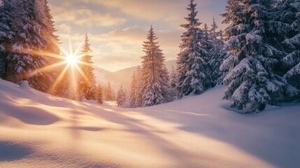 Winter sunbeams dance on snowy peaks.