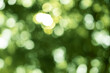 © ooddysmile - green blurred backdrop of nature, circle light wallpaper, white bokeh background