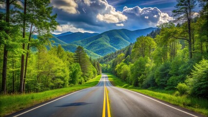 Wall Mural - Scenic route leading to Great Smoky Mountains National Park in Tennessee