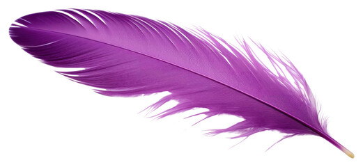 Sticker - PNG Feather purple white background lightweight.