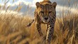 © design master - Cheetah digitally rendered stalking prey on the savanna.