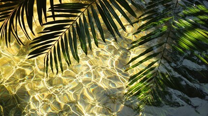 Wall Mural - Palm fronds casting shadows on rippling water, abstract textured background.