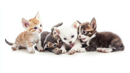 Puppies and Kittens Playing: Adorable group of pets playing together, isolated on white.