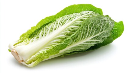 Fresh Green Napa Cabbage Isolated on White Background