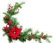 © Rawpixel.com - PNG  Christmas corner arrangement christmas flower plant.