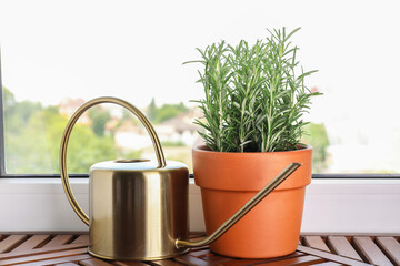 Wall Mural - Aromatic rosemary plant in pot and watering can on wooden table near window indoors