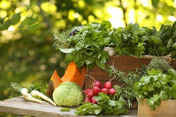 Wall Mural - Different fresh herbs and vegetables on wooden table outdoors