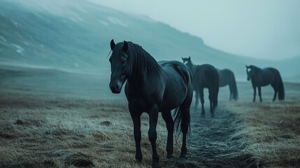 Beautiful Horses on Iceland