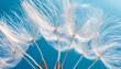 © Mikki Orso - Close up photography of a dandelion against a blue nature background for stunning visual appeal
