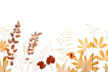 Poster - PNG  Real pressed autumn leaves backgrounds painting flower.