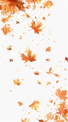 autumn leaves falling on white background.