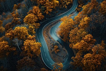 Poster - Aerial View of Winding Road Through Autumn Forest