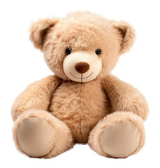 Canvas Print - PNG A teddy bear plush cute toy.