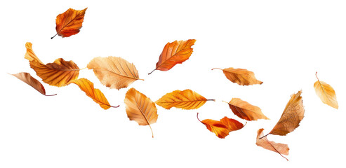 Wall Mural - png autumn leaves in mid-air