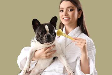 Wall Mural - Young woman in bathrobe with her French bulldog and makeup brush on green background, closeup