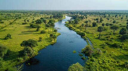 Poster - Aerial View of a Winding River in a Lush Green Landscape