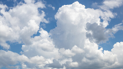 clouds in a blue sky. bright photo of a cloudy blue sky filled with puffy clouds.