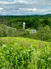 Farm in the distance in meadow