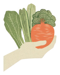 Wall Mural - PNG Hand holding vegetables carrot plant food.