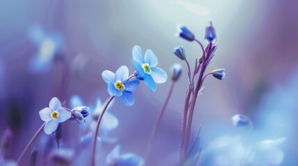 Canvas Print - Delicate Blue Flowers in a Field