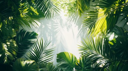 Lush Green Tropical Leaves Bordering a White Background