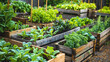 © Camalia MN - Vegetable containers in the garden